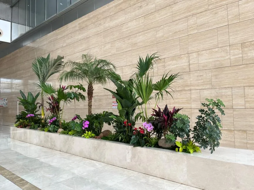 余姚盆景租摆价格超实惠，打造别样空间！